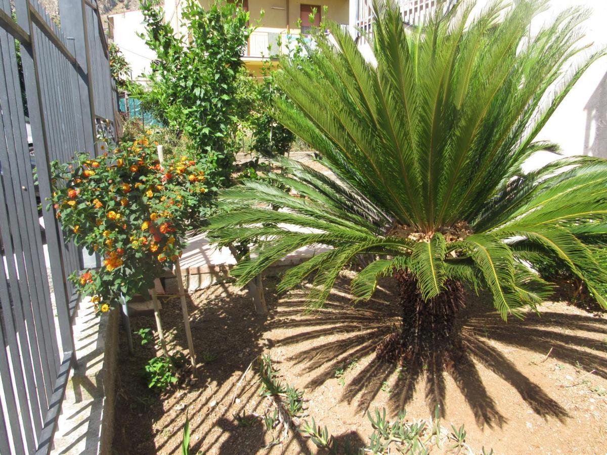 La Cycas Bed & Breakfast Trabia Exterior photo
