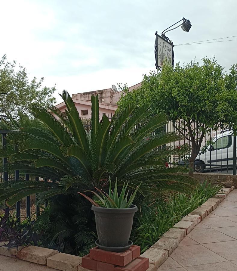 La Cycas Bed & Breakfast Trabia Exterior photo