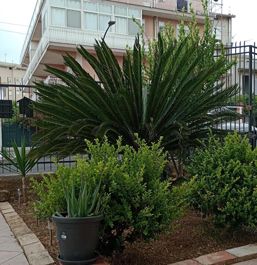La Cycas Bed & Breakfast Trabia Exterior photo